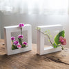 Unique Photo Frame Flower Pot