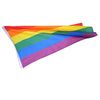 Extra Large Gay Pride Flag