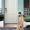 Ruff Wireless Doggie Doorbell