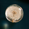 Trapped Dandelion Crystal Ball