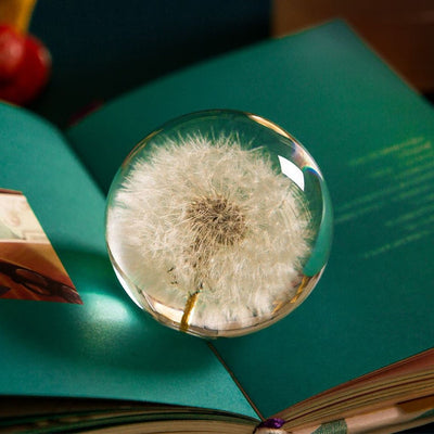 Trapped Dandelion Crystal Ball