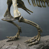 T-rex Fossil Skeleton Model