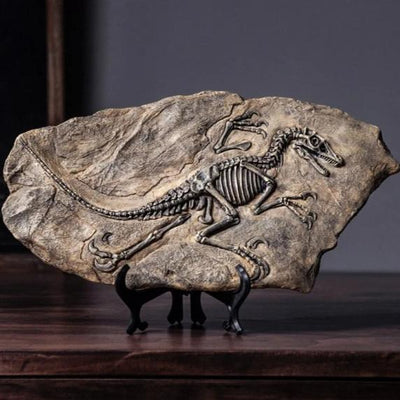 Dinosaur Fossil Decor Piece