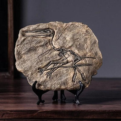 Dinosaur Fossil Decor Piece