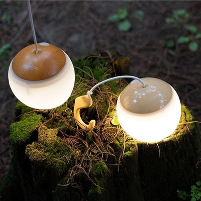 Outdoor Portable LED Camping Lamp
